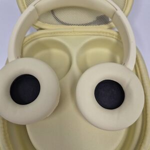 Sony Headphones with Case